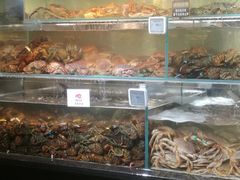 -超级物种(省府店)
