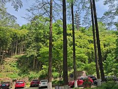 -莫干山风景区