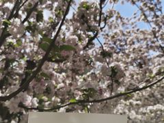 -元大都城垣遗址公园