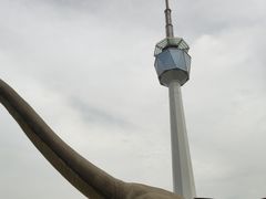 -陕西自然博物馆