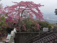 -风云岭森林公园