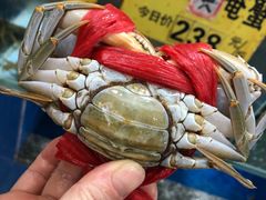 海油蟹-三辣馆