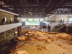 -自贡恐龙博物馆