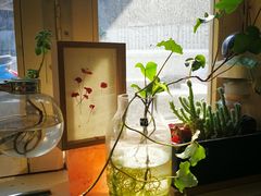 -餐酒吧Com-ing Bar(上海路店)