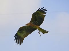 -Sony Store索尼(广州正佳店)