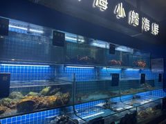 -鸽子侯·家宴·平价海鲜(市图书馆店)