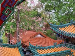-丰都鬼城名山景区