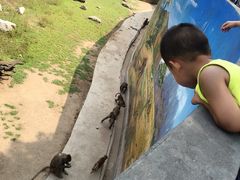 -西安秦岭野生动物园