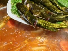 黄辣丁-亮欢寨(凯里总店)