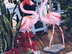 景观位-随心小姐