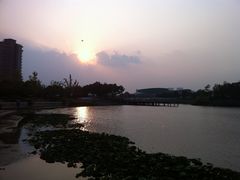 景点-新江湾城公园
