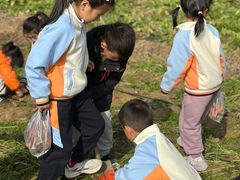 -丹迪兰幼稚园