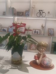 -Dr.林醫生产后修复·超级店(南京江宁同曦店)
