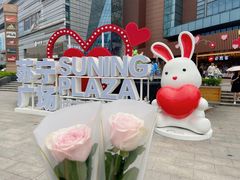 -苏宁广场·城市奥特莱斯(天府立交店)