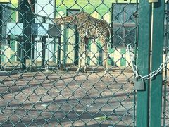 -秦皇岛野生动物园