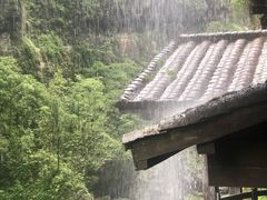 -鹿院坪生态旅游景区