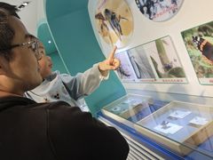 -上海昆虫博物馆