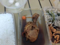 -泉州海丝野生动物世界