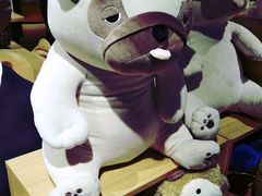 -九木杂物社(新奥购物中心店)