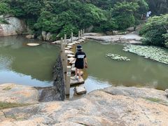 -桃花岛风景旅游区