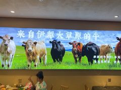 -疆牛出栏·潮汕牛肉火锅(德汇万达店)