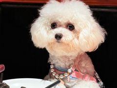 -烤匠麻辣烤鱼(万象城店)