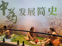 -广东中医药博物馆