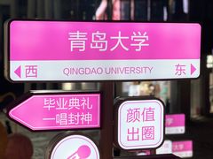 -琴岛之星摩天轮