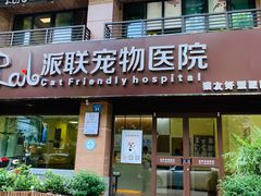 -派联宠物医院·24h·CT·异宠