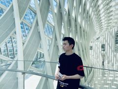 -凤凰中心