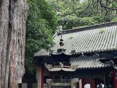 -青岛崂山太清宫