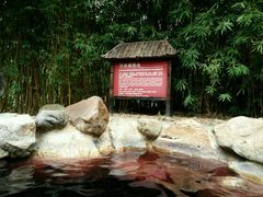 -森波拉火山温泉