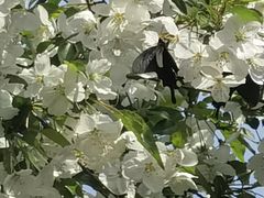 -泰山风景名胜区-普照寺