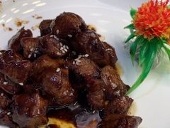 -老绍兴养和饭店(向阳不夜城店)