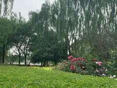 -西安汉城湖景区