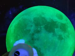 -重庆梵高星空艺术馆(解放碑旗舰店)