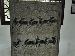 -上海醉白池公园
