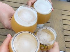 -麦落精酿啤酒餐吧(先农大院店)