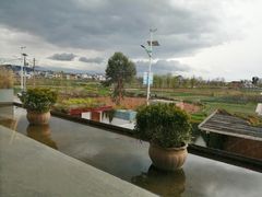 -翠田Green Field Kitchen