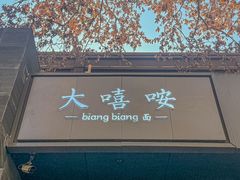 -大嘻咹biangbiang面(历史博物馆店)