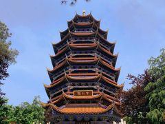 -铁山坪森林公园