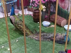 -纽斯特牛排自助餐厅(浦东文峰广场店)