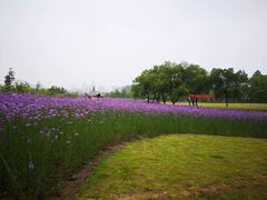 -杭州城北体育公园