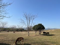 -良渚古城遗址公园