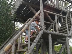 -武清南湖绿博园