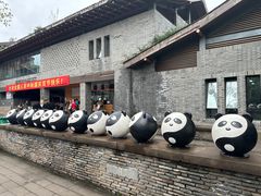 -都江堰中华大熊猫苑