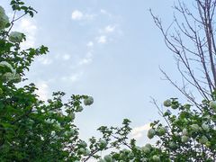 -大龙山(地铁站)