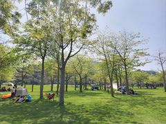 -风云岭森林公园