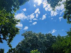 -国家植物园南园