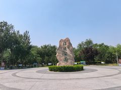 -绿堤公园